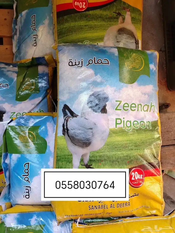 اكل قطط رمل قطط اكسسوارات 4