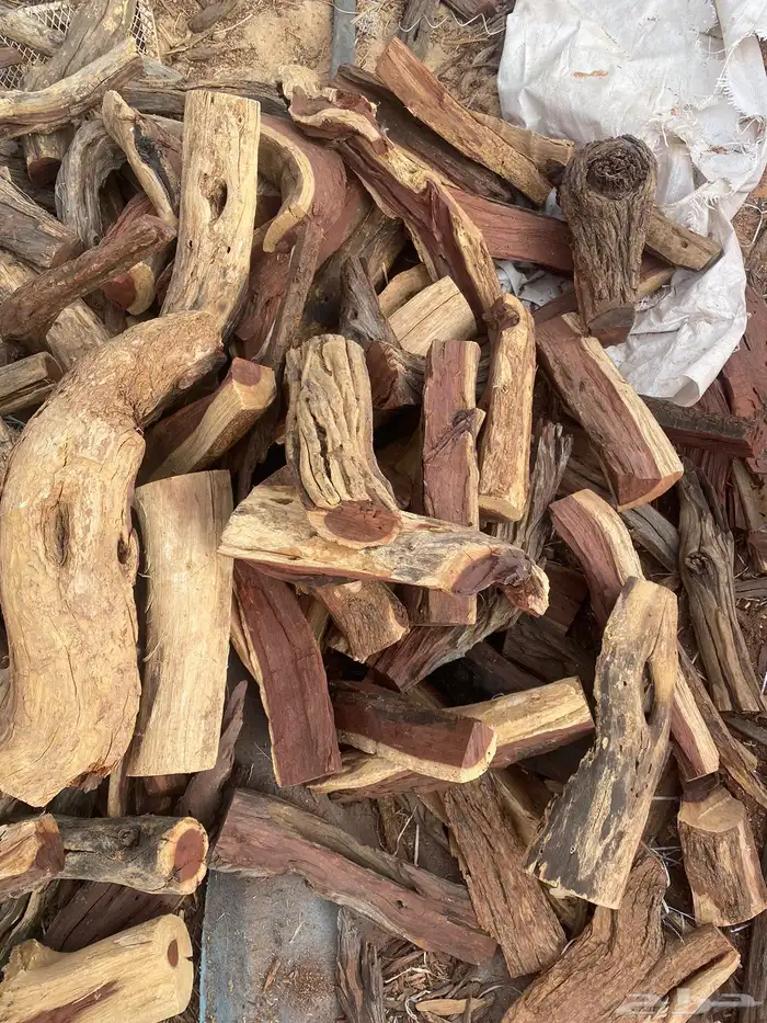 حطب قرض افريقي 6