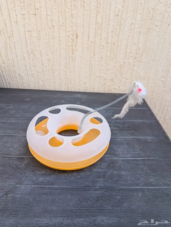 كل المعروضات ب 100 1