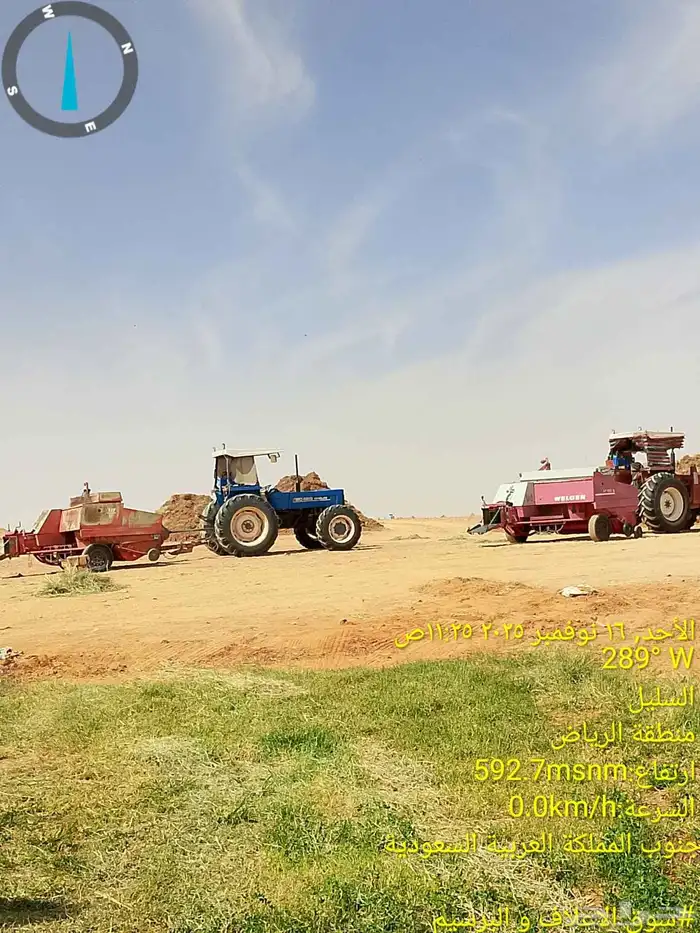 برسيم ناعم ورق اخضر نعناع من مزارع السليل في وادي الدواسر 2