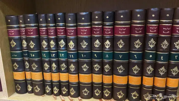 تهذيب اللغة للأزهري   خزانة الأدب 2