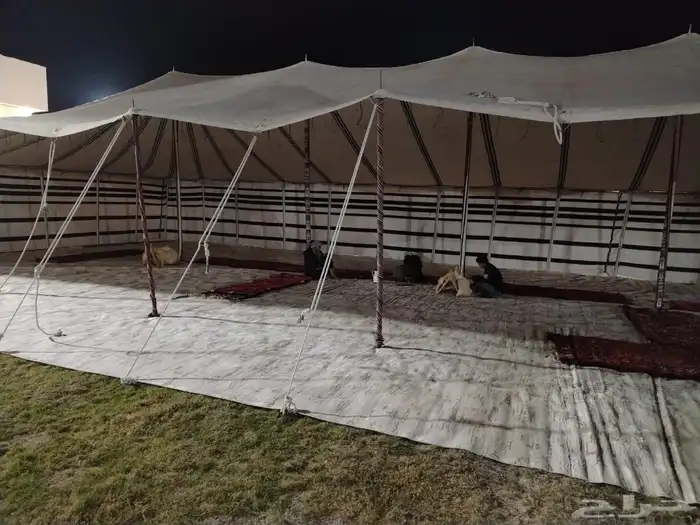 تاجير خيم بجيمع انواعها جلسات شعبيه بأنواعها كراسي زل طاولات 3