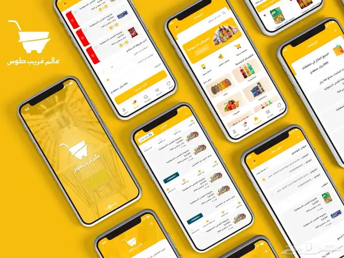 برمجة تطبيقات الجوال وتصميم مواقع الويب 12