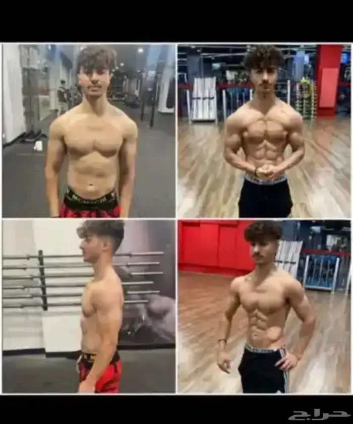 مدرب شخصي اونلاين و تجهيز بطولات ضمان الوصول للجسم المطلوب 2