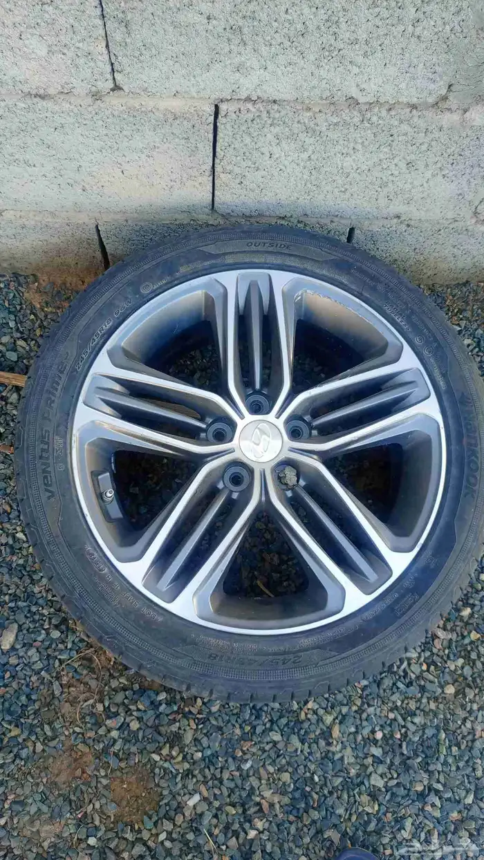 جنوط هواندي ازيرا للبيع2018 0