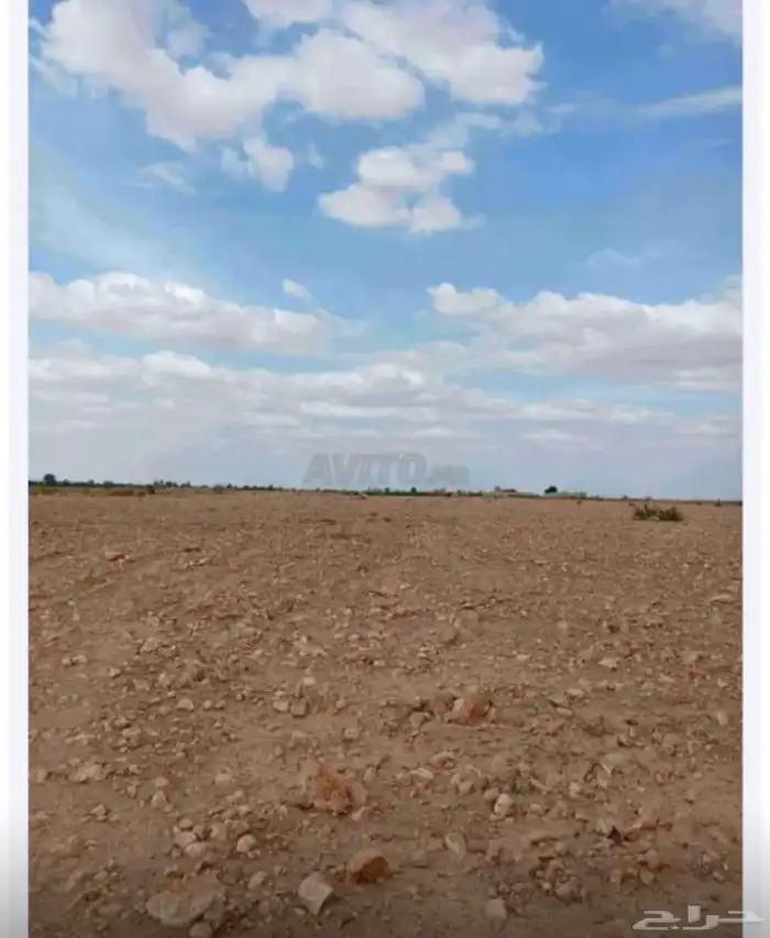 أرض زراعية للبيع 3
