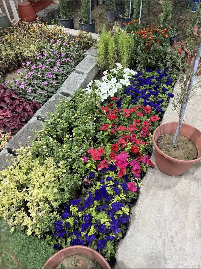 مشتل زراعي للتقبيل 0