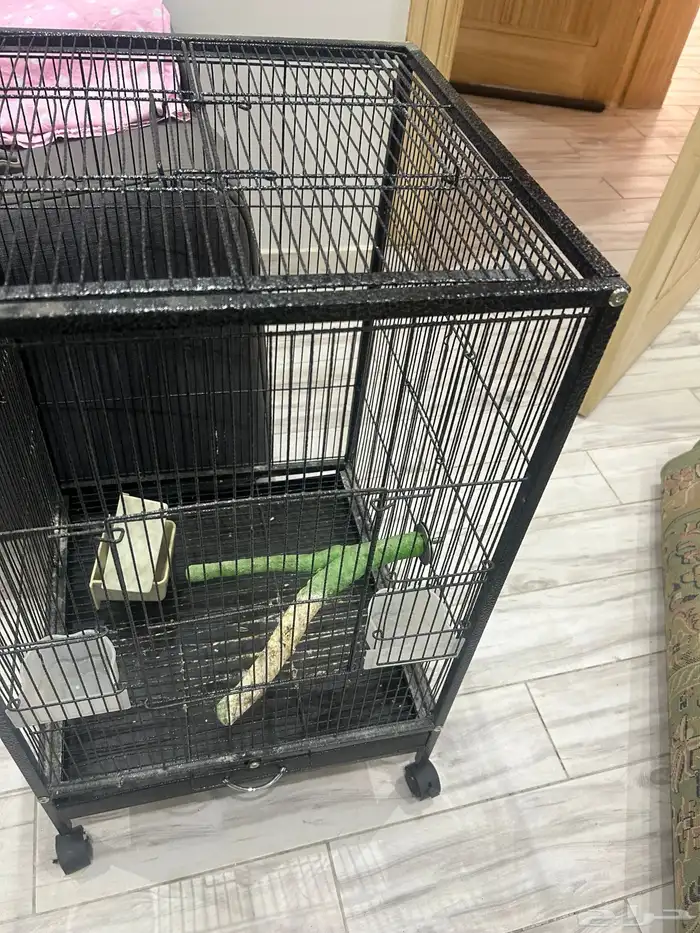 قفص بغبغاء 1