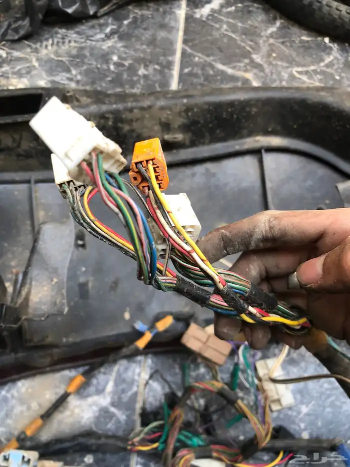 ظفيرة طبلون كرسيدا 1