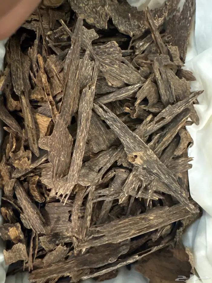 عود كاليمنتان بونتيانك تربل سوبر تخزين قديم طبيعي 100   100 9