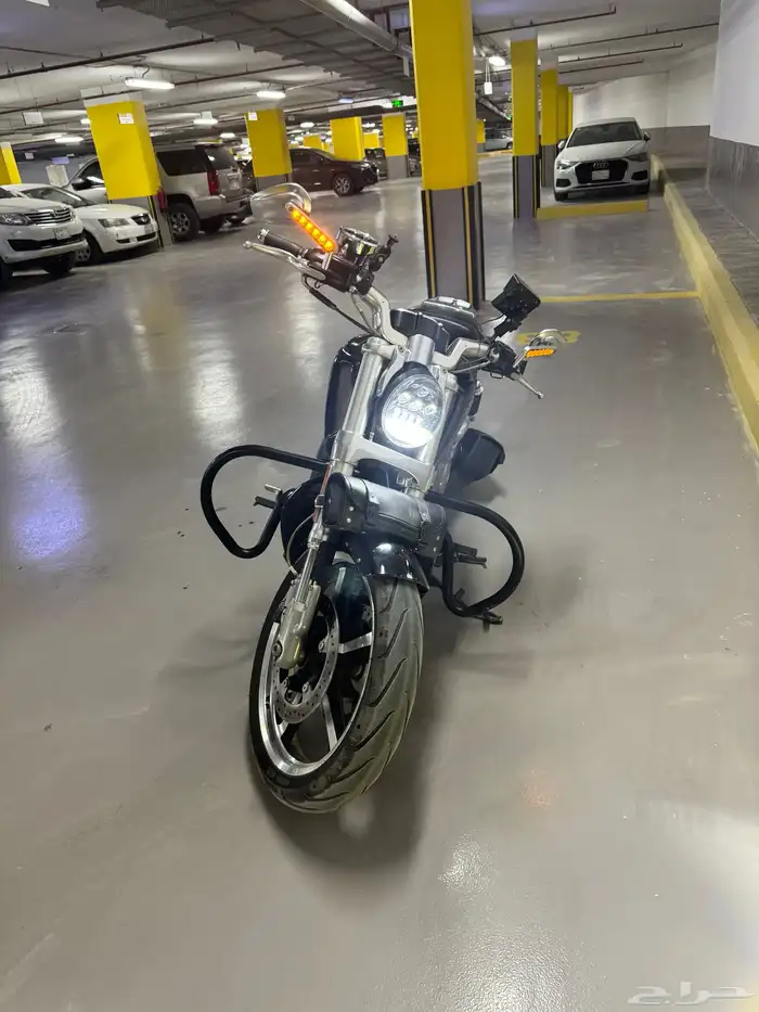 Harley V Rod Muscle Porsche 2013 6