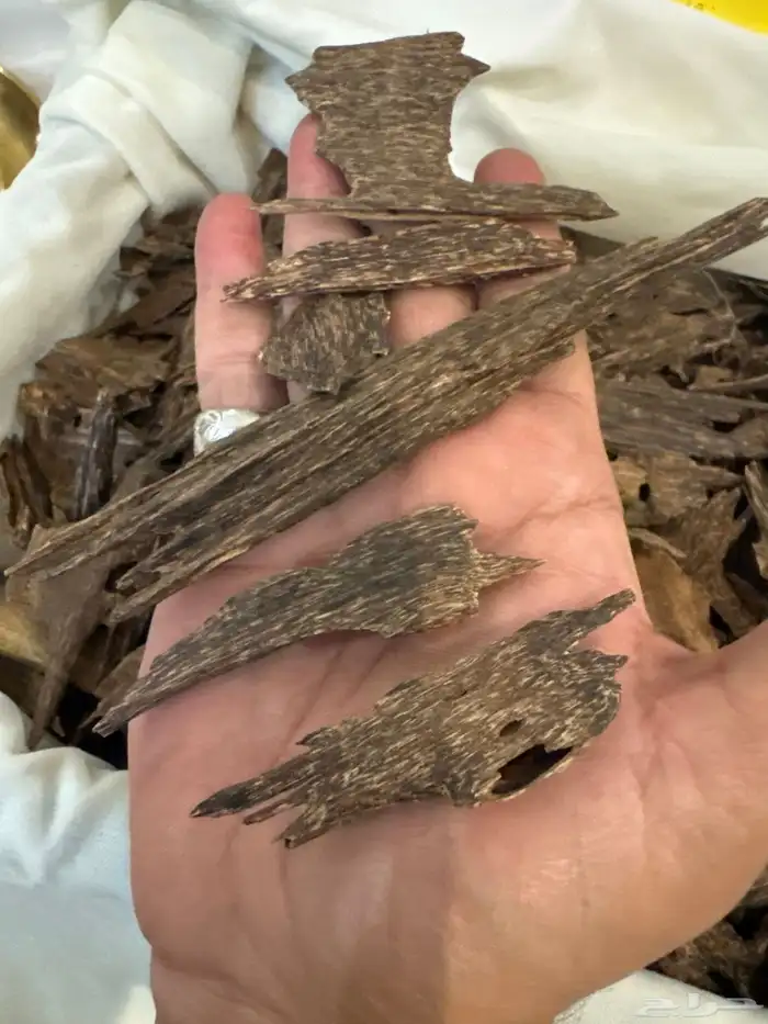 عود كاليمنتان بونتيانك تربل سوبر تخزين قديم طبيعي 100   100 2