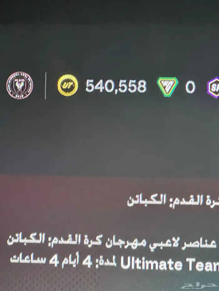 كوينز فيفا 26 0