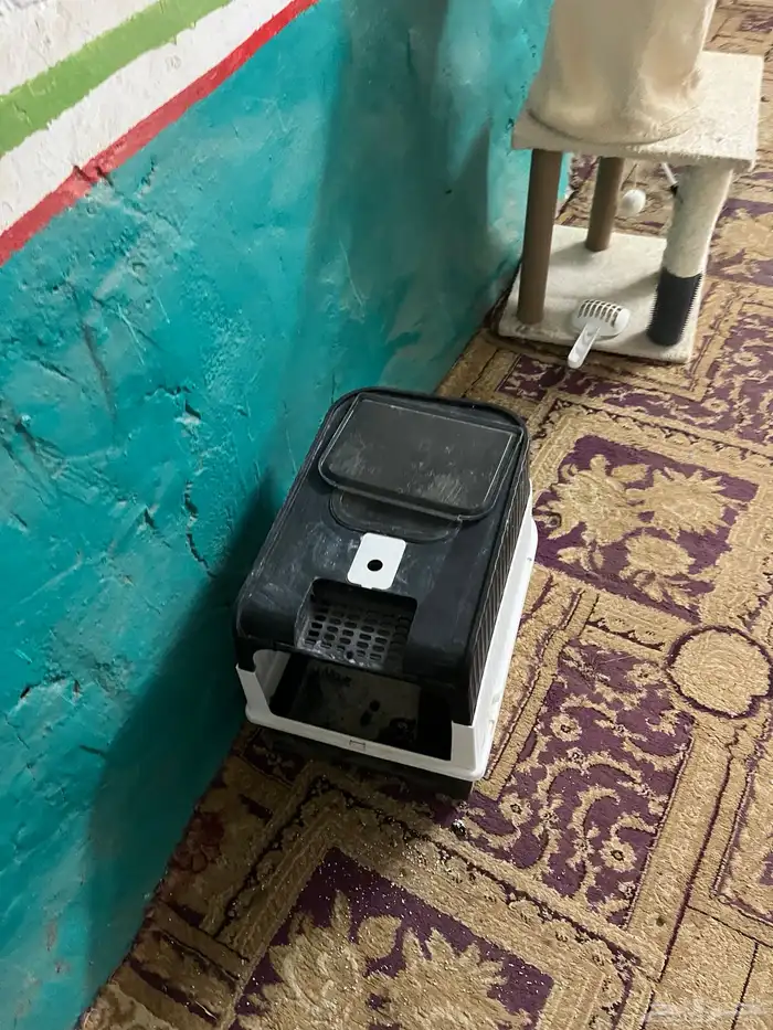 للبيع اغراض قطط 0