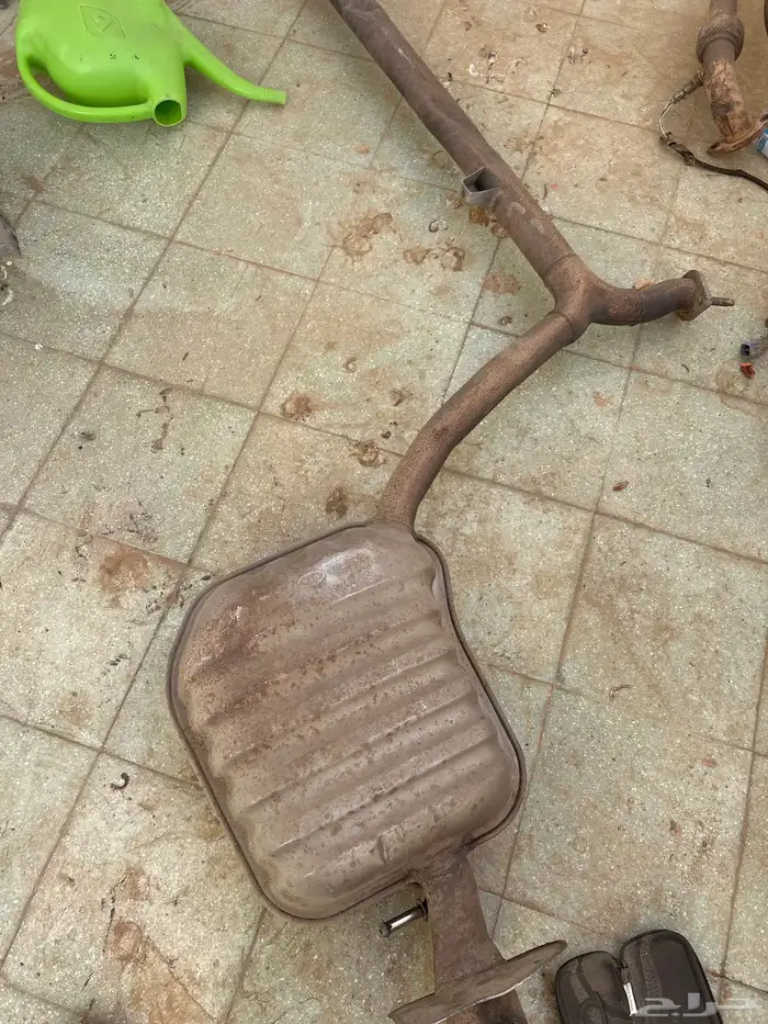 شكمان كادينزا 2019 0