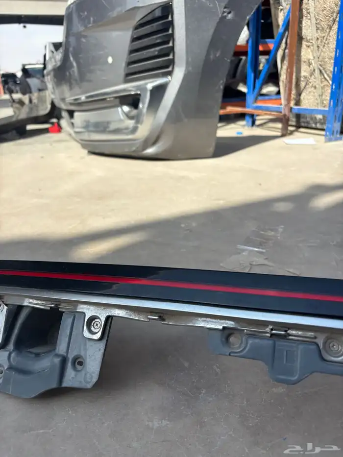 اسطب ازيرا 2024-2025 4