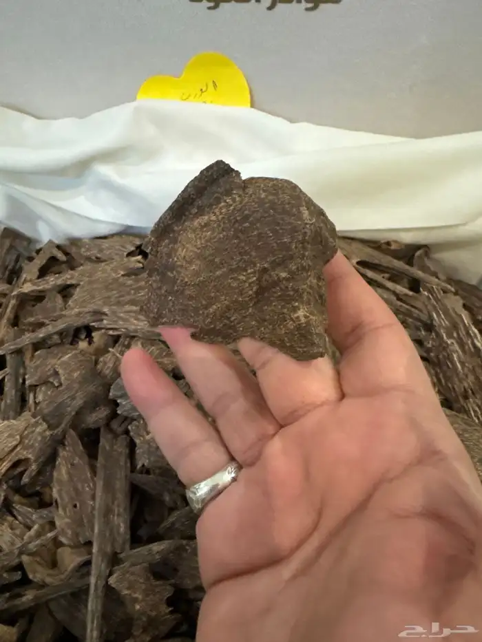 عود كاليمنتان بونتيانك تربل سوبر تخزين قديم طبيعي 100   100 1