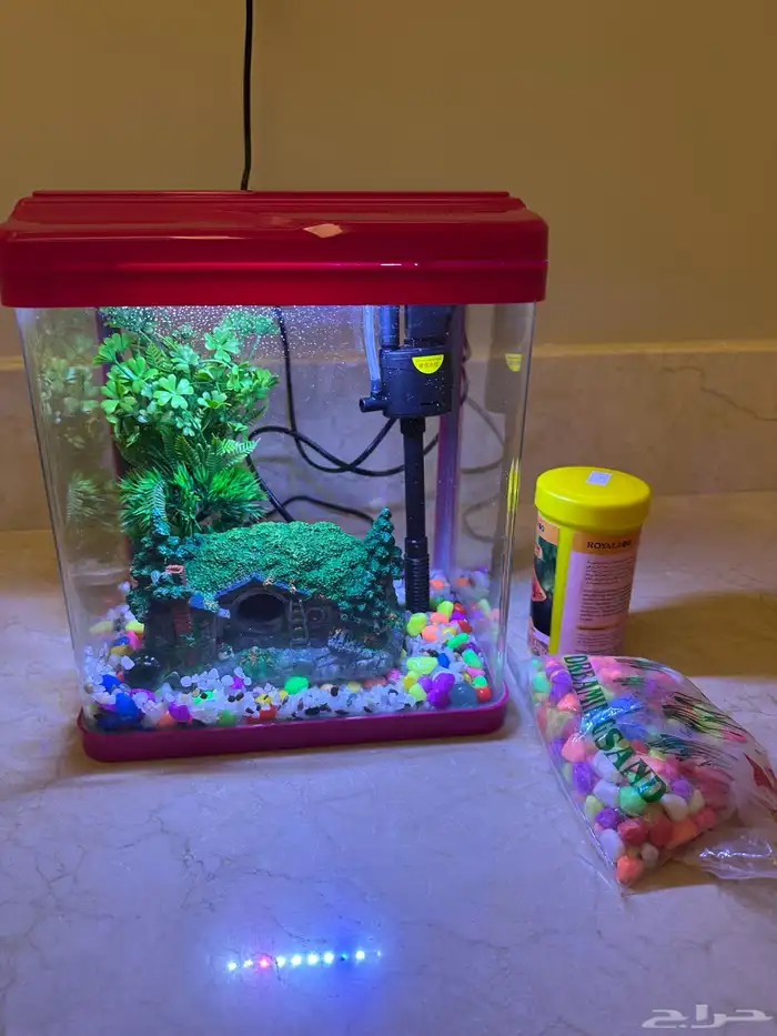 حوض سمك مع اغراضه للبيع 0