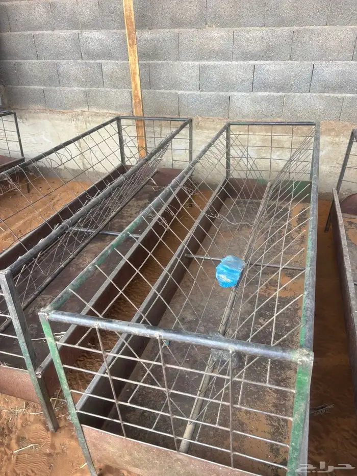 للبيع معالف غنم و معالف شعير 1