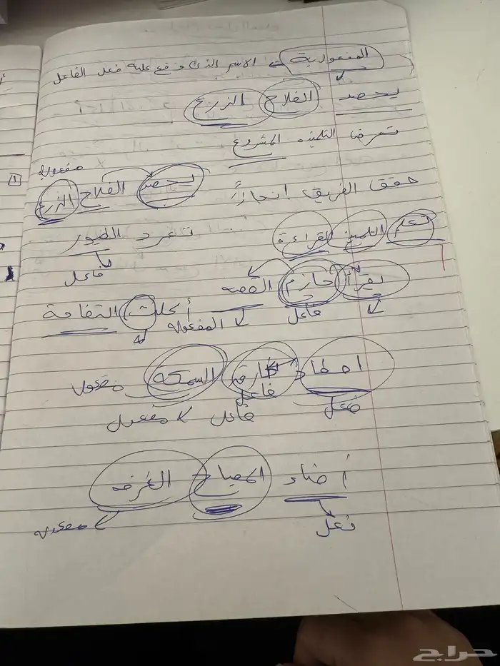 مدرسه خصوصيه ف خميس مشيط 5