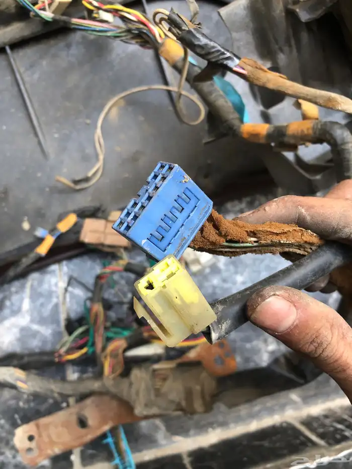 ظفيرة طبلون كرسيدا 2