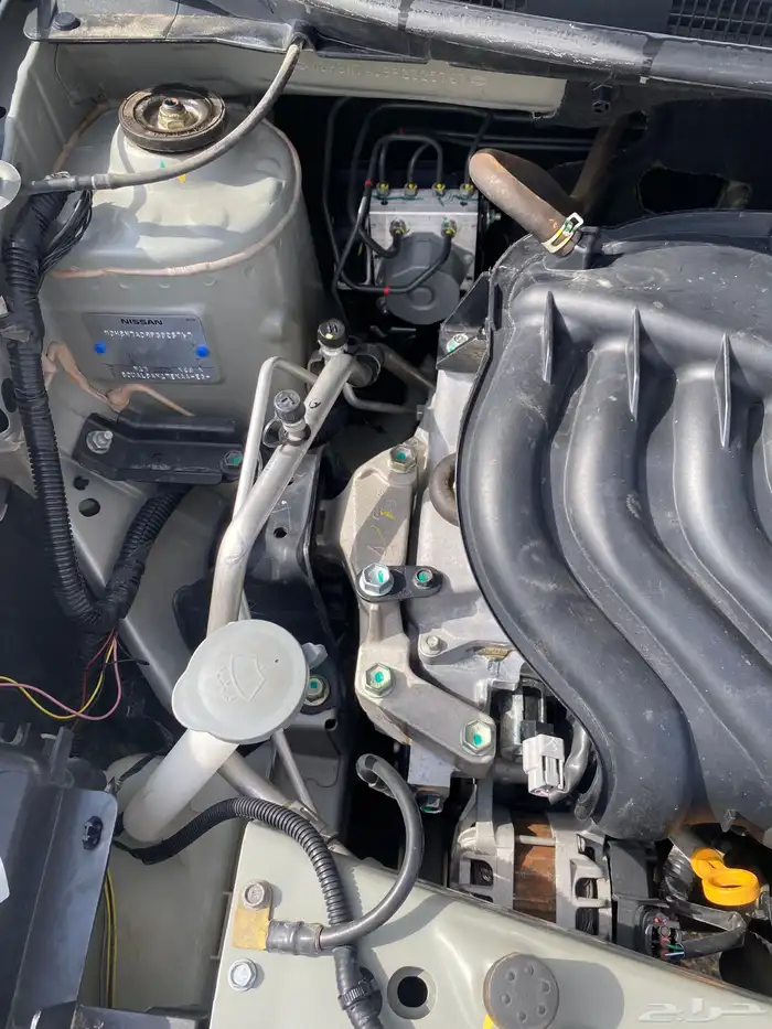 صني 23 فل نظيفة 11