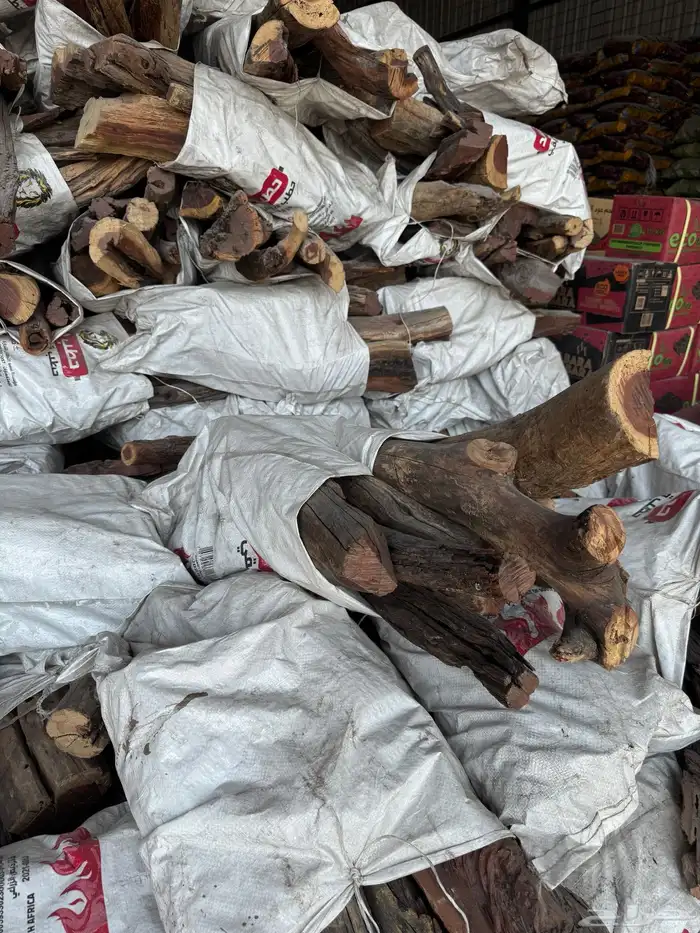 حطب سمر وقرض افريقي 5