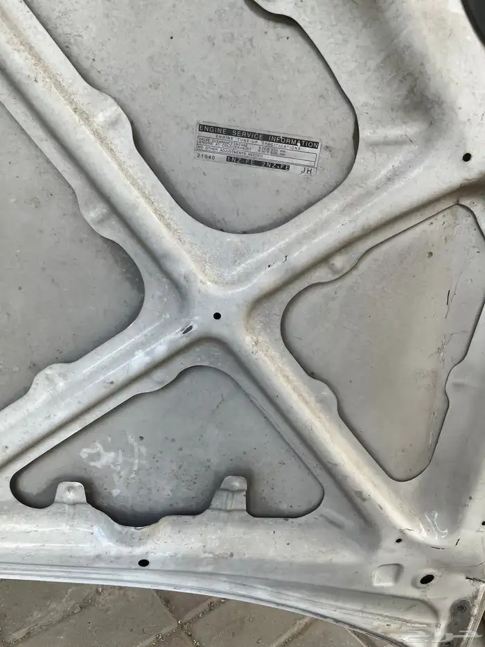 كبوت كوريلا 2003 1