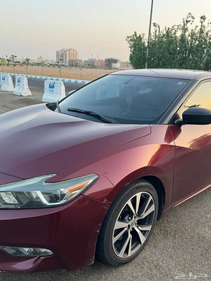 مكسيما 2016 ستاندر 2