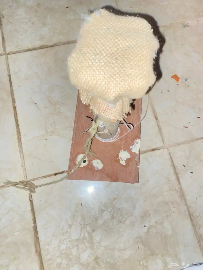 اغراض الصقور و الشبوط 0