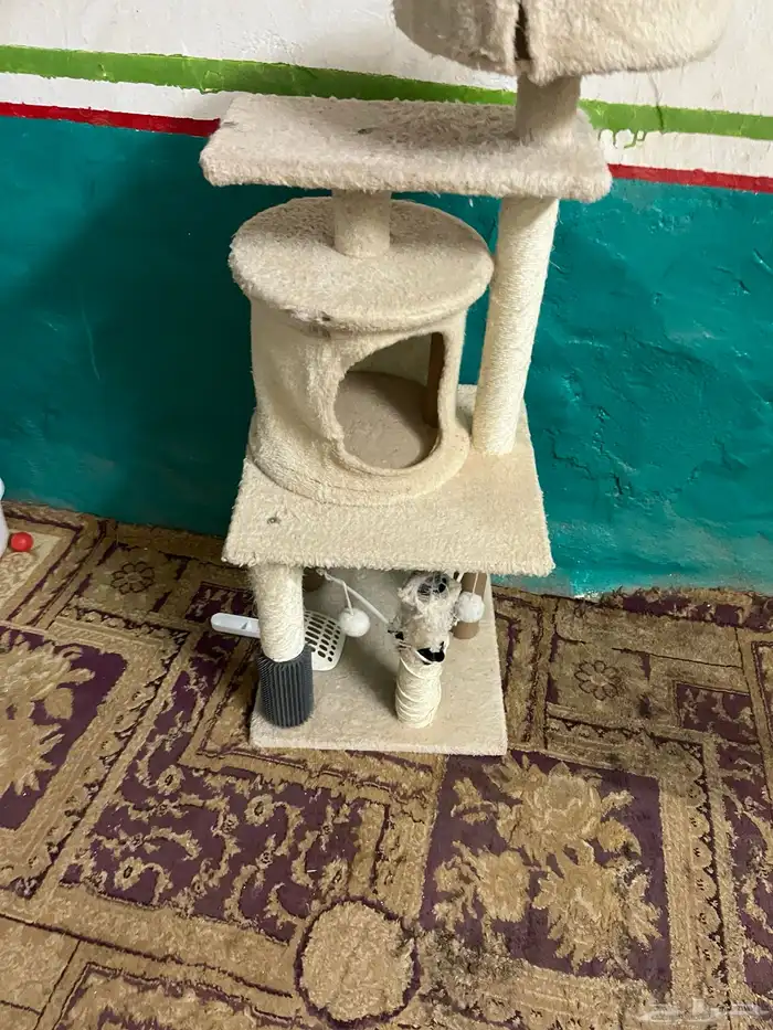 للبيع اغراض قطط 4