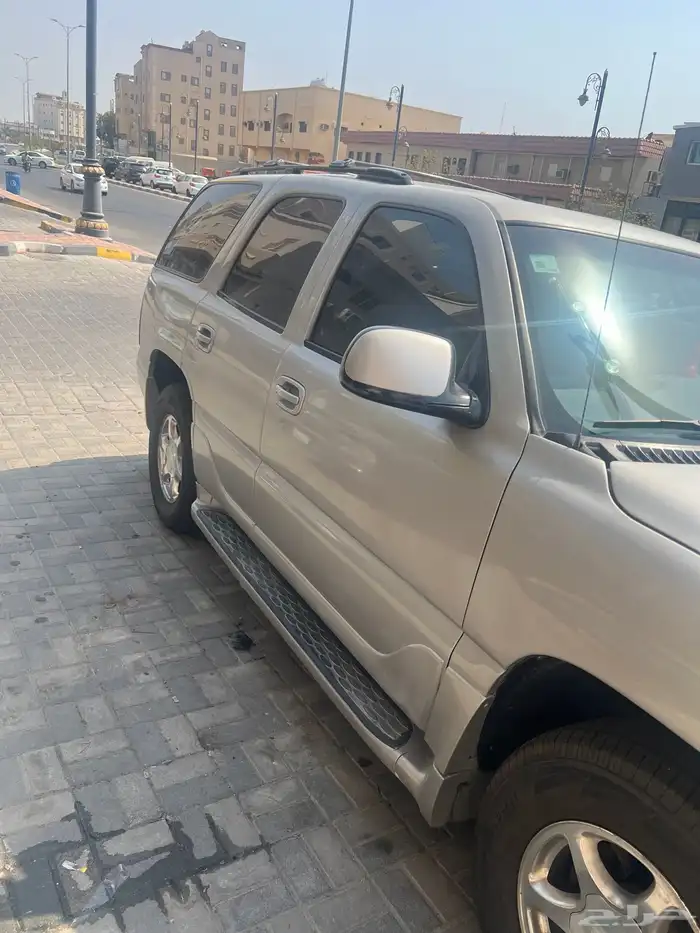 جمس دينالي 0