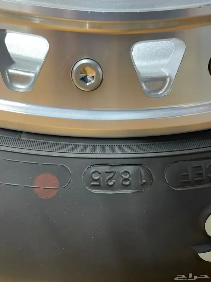 ماكسس نص حجري 17 2