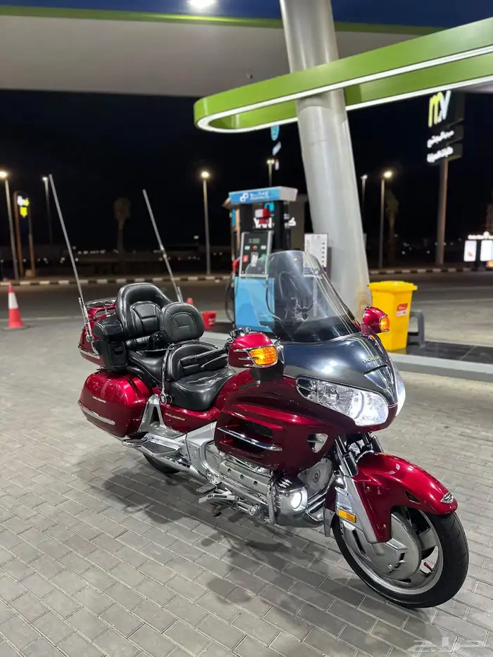 قولد وينق 2004 3