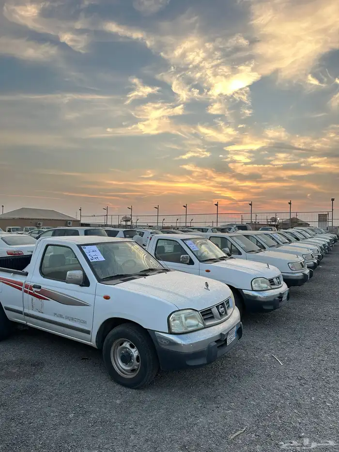 للبيع ددسن موديل 2008 وسيارات مختلفة بمزاد علني 0