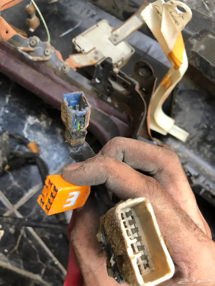 ظفيرة طبلون كرسيدا 5