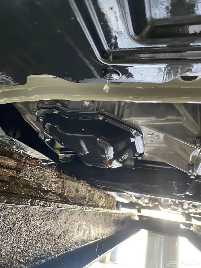 صني 23 فل نظيفة 16