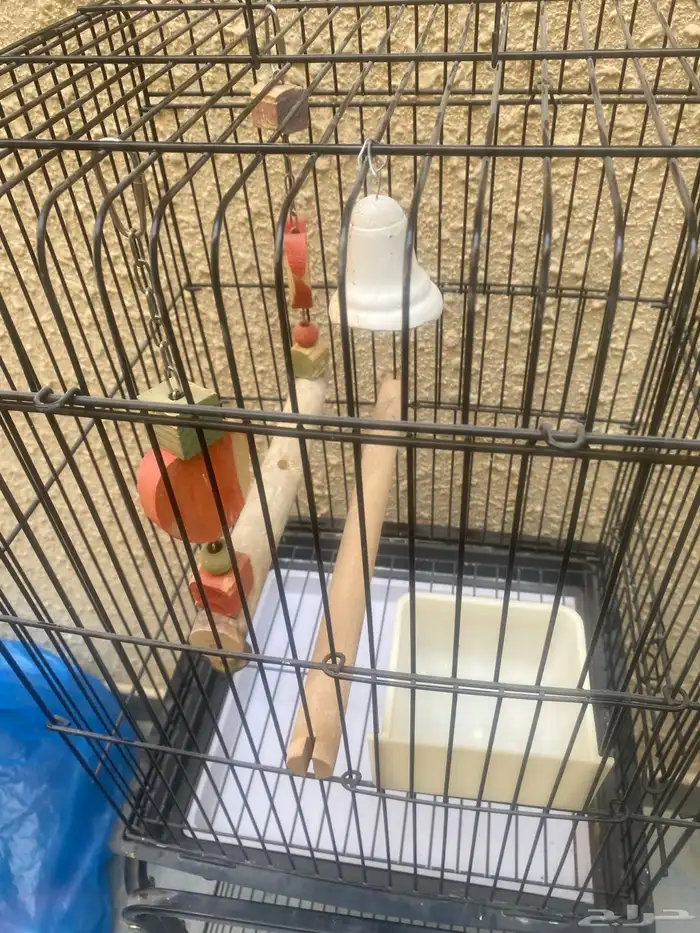 اقفاص طيور جديدة 5