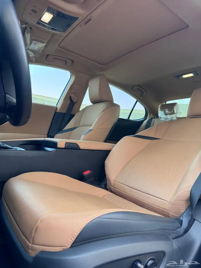 لكزز ( 350 شبه الاصفار ) 61