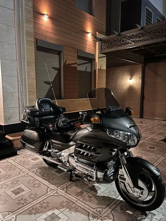 قولد وينق رحال ليفل 1 - 2009 15