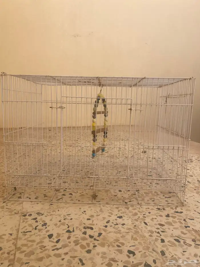 شبك طيور ب50 او اكثر لا يجيني الا الصامل 2