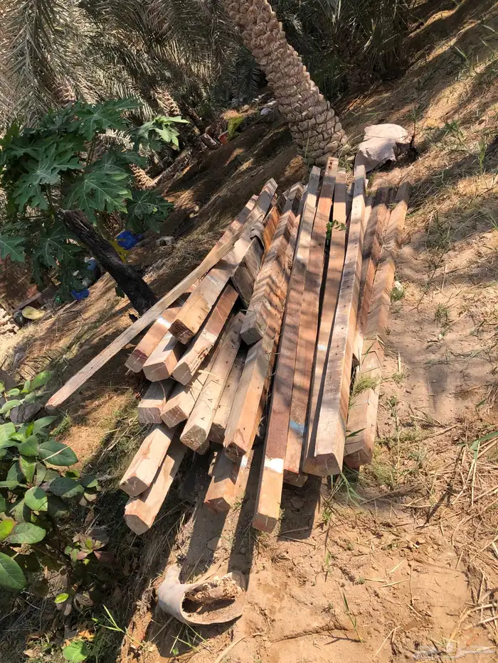 خشب مرابيع دناشل الكميه 102 حبه 0