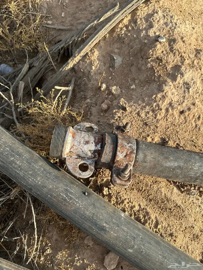 لي بير 3 بوصه 3