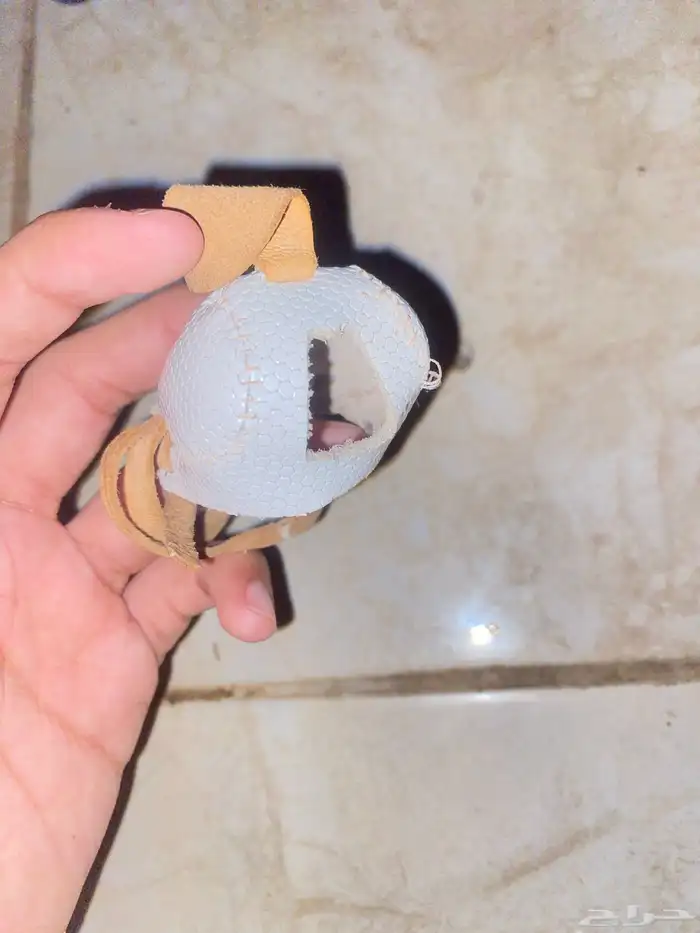 اغراض الصقور و الشبوط 2