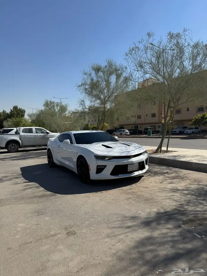 كمارو ss2 2017 10