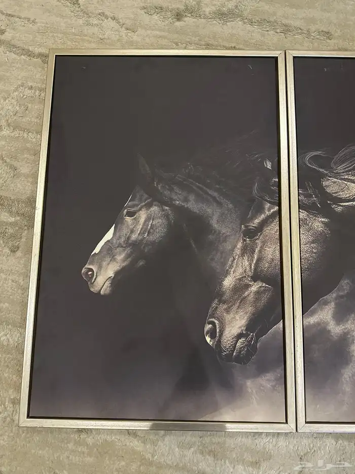 لوحة جديدة للبيع كبيرة 2