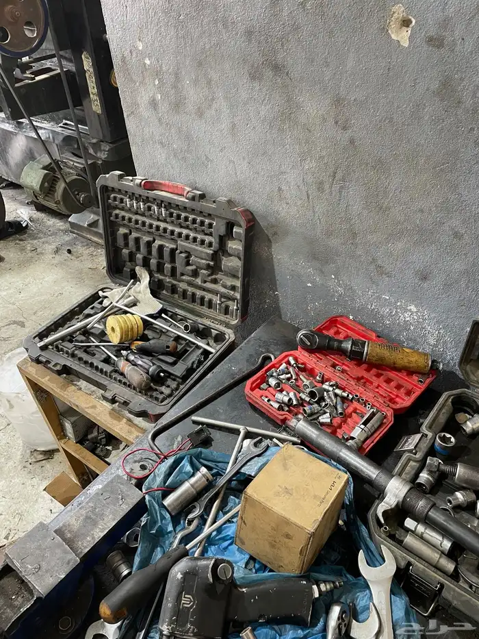 ورشة للتقبيل في مجمع المنتزهات الجديد 3