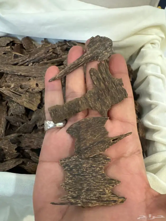 عود كاليمنتان بونتيانك تربل سوبر تخزين قديم طبيعي 100   100 0