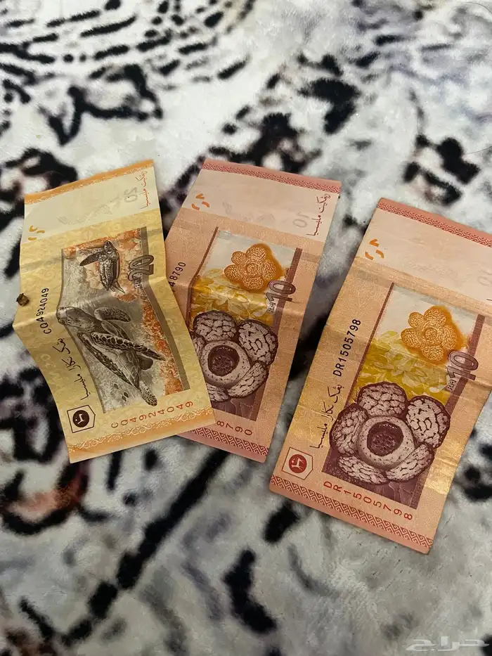 40رينقد ماليزي على السوم 1