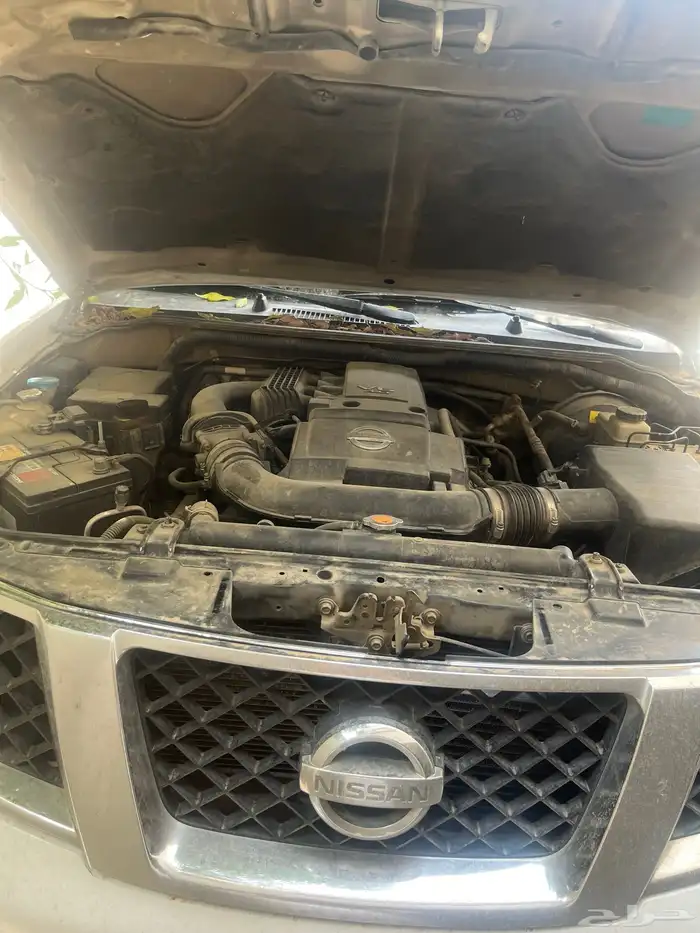 باثفندر 2010 3